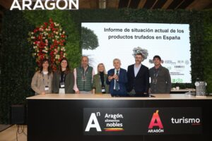Blog trufa negra d'aragon